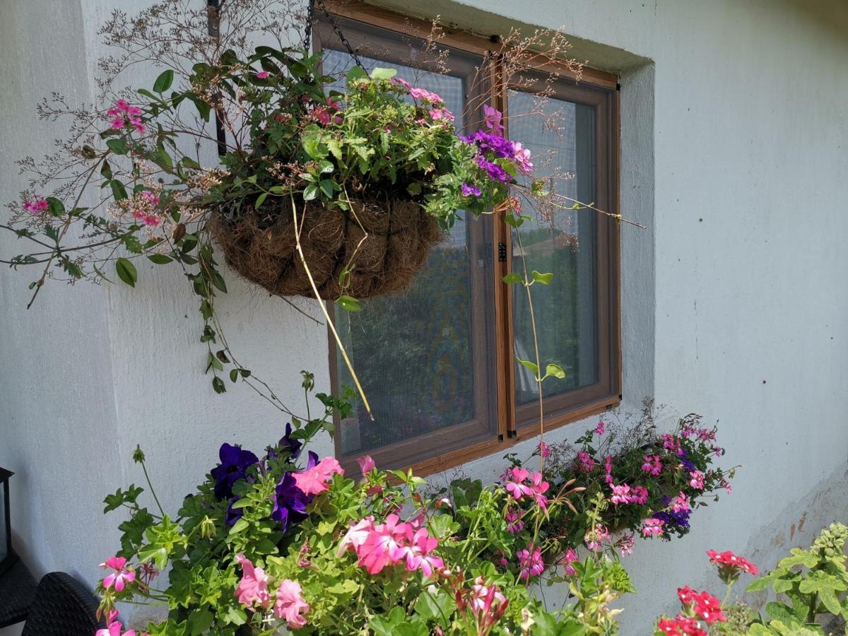 House Albena Hotel Durankulak Exterior photo